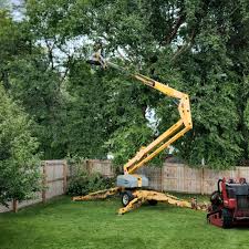 Glenwood, GA  Tree Services Company